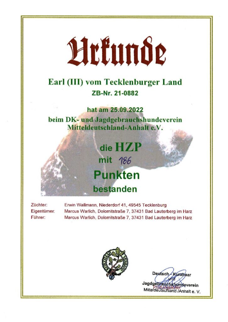 HZP 186 – Earl III vom Tecklenburger Land