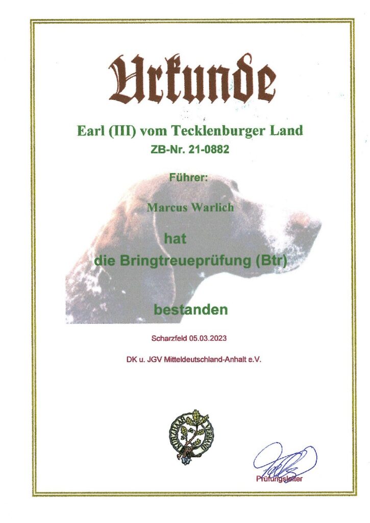 Btr – Earl III vom Tecklenburger Land