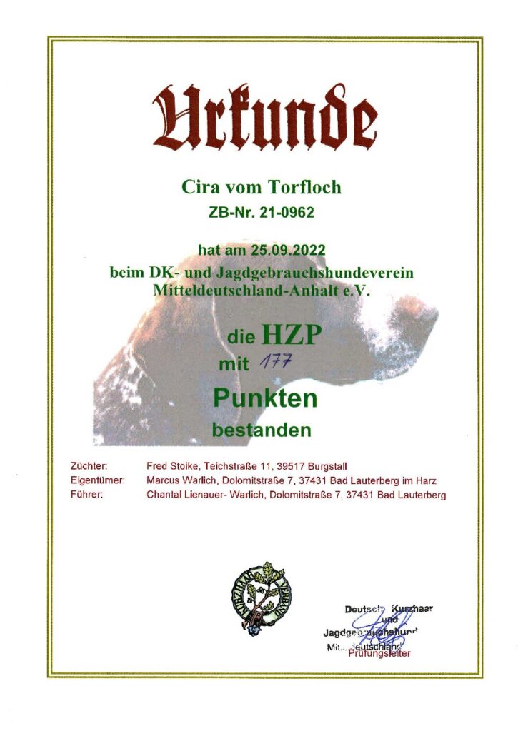 HZP 177 – Cira vom Torfloch
