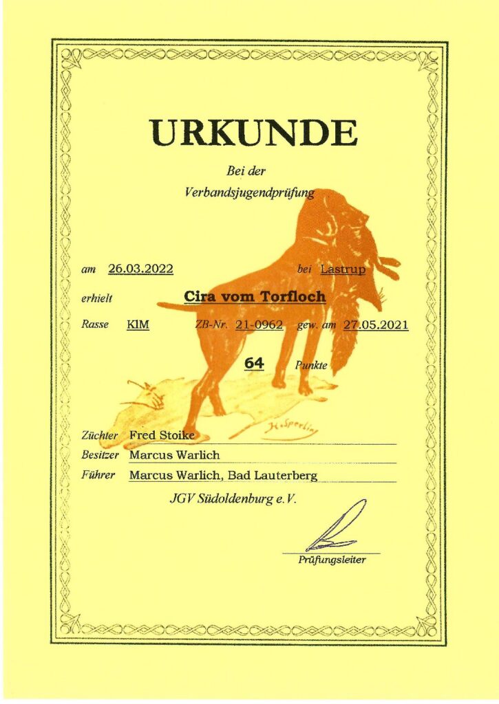 Verbandsjugendprüfung – Cira vom Torfloch