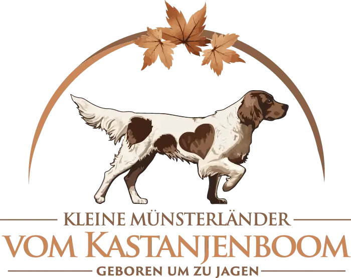 Logo mit einer Zeichnung eines braun-weißen Hundes, der unter einem Bogen mit drei Herbstblättern spazieren geht. Der Text darunter lautet: KLEINE MÜNSTERLÄNDER VOM KASTANJENBOOM, ZWERVER, LUST EN JACHT.